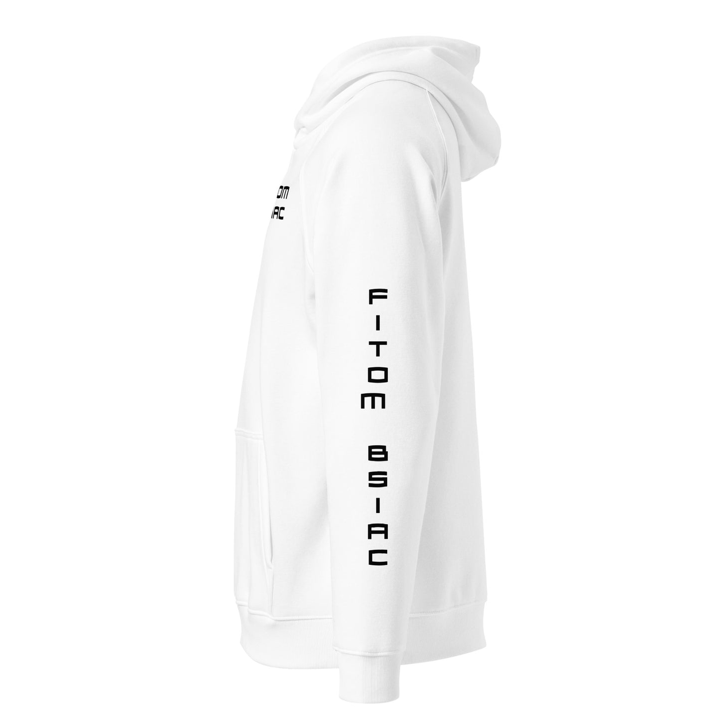 Unisex eco raglan hoodie